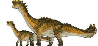 Monster Hunter Cross - 15-07-09 - Rimosetosu