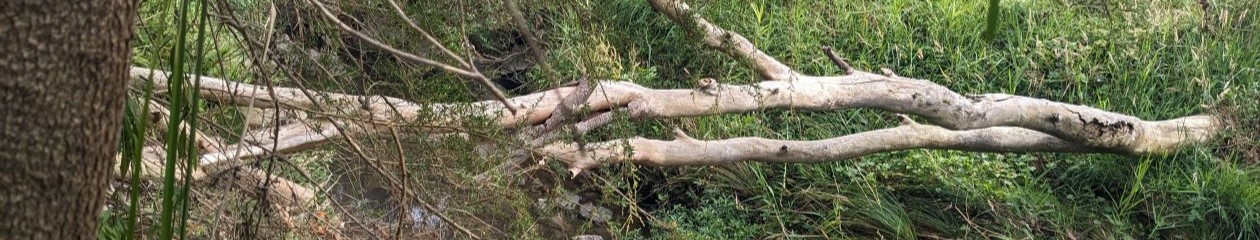 Musings From a Queer Environmentalist